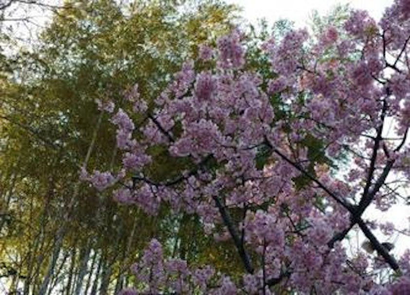 Get Grenzen erkennen und akzeptieren Free