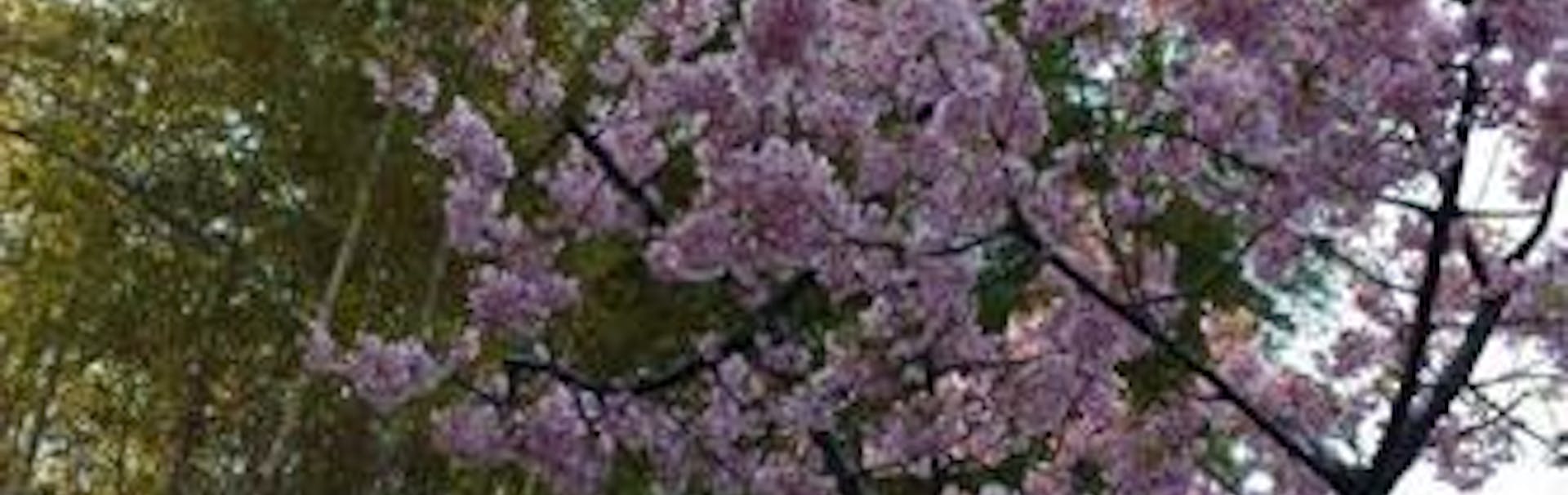 Get Grenzen erkennen und akzeptieren For iPhone Free Grenzen Erkennen Und Akzeptieren