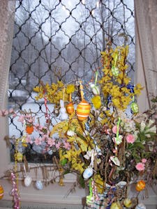 DSCN8234.JPG