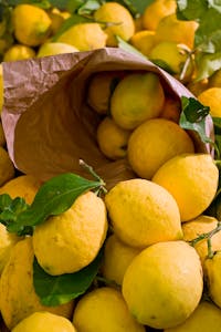 limoni.jpg